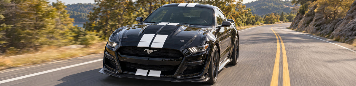 Racing Stripes: Cost
