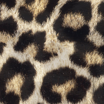 Animal Print Pattern Vinyl Wraps