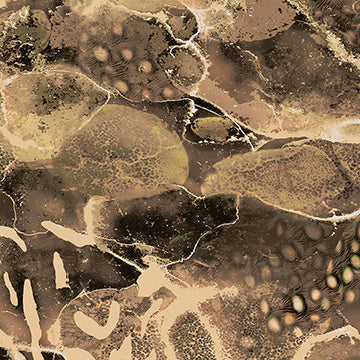PRYM1 Stream Mushroom pattern swatch