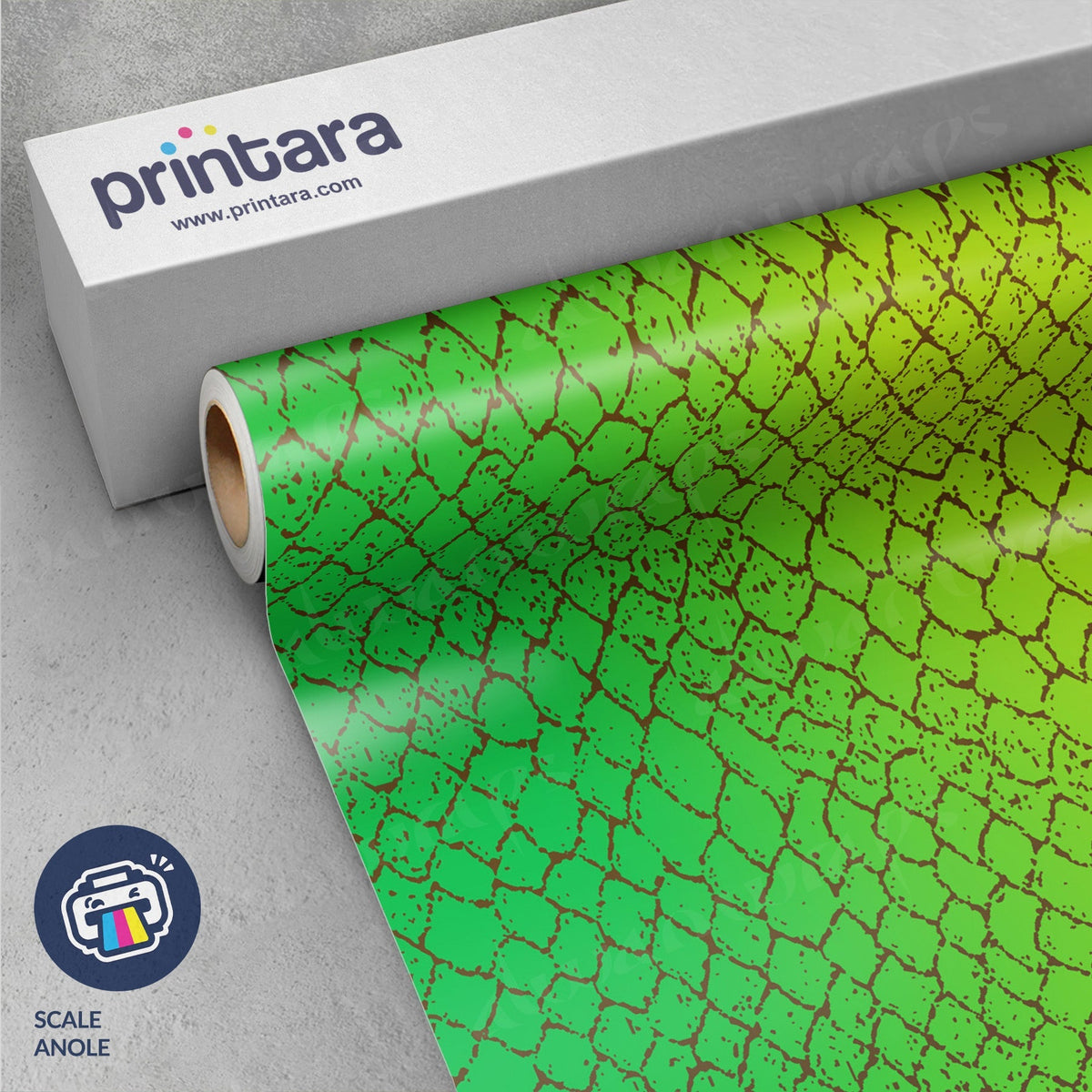 Scale Anole Vinyl Wrap
